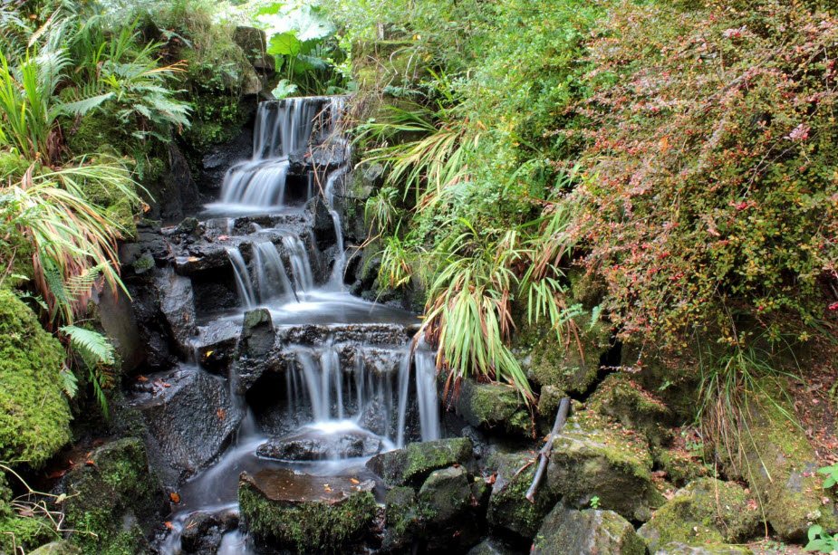 Clyne Gardens, United Kingdom